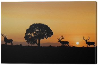 Silhouette (400x400), Png Download