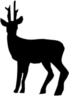 Roe Deer Image - Athena Animal (496x359), Png Download