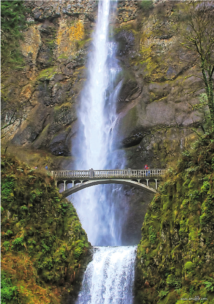 Waterfalls - Wfs086 - Multnomah Falls (1000x1000), Png Download