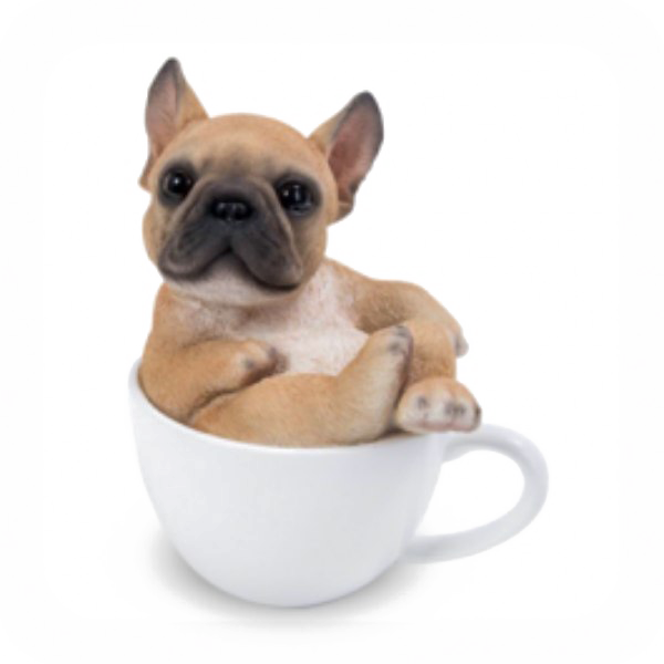 Bulldog Png Pic - Dog In Teacup Png (600x600), Png Download