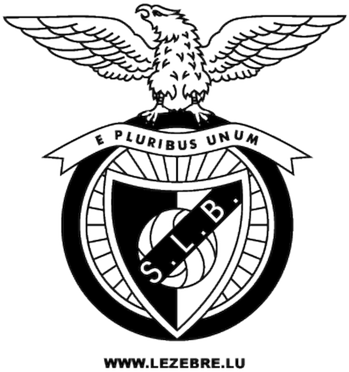 S.l. Benfica (800x800), Png Download