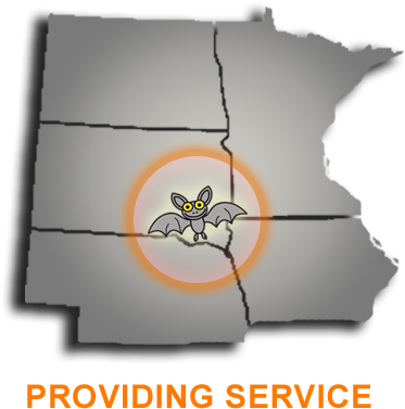 Nobody Wants Bats In Their House - Nice Bats - Bat Removal Service (600x400), Png Download