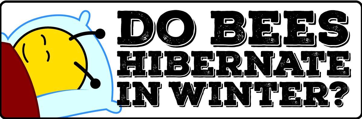 Do Bees Hibernate In Winter - Art Print: Salt's N In Pink, 10x8in. (1200x396), Png Download