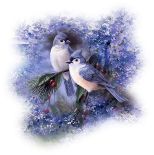 Bluejays-winter - Blue Birds Bag Handbag Purse Tote Shopper (408x400), Png Download