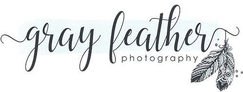 Gray Feather Photography - Logo (500x251), Png Download