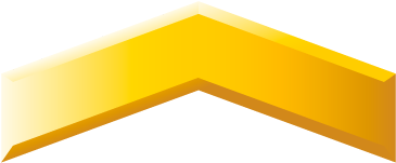 Private - Halo 3 Ranks Png (400x600), Png Download