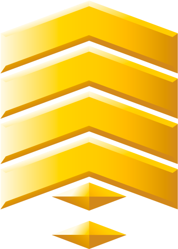 1st Sergeant 49 Days In - Sergeant (400x600), Png Download