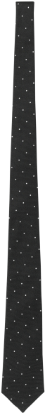 Necktie (450x600), Png Download