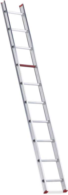All Round Single Straight Ladder - Ladder (700x840), Png Download