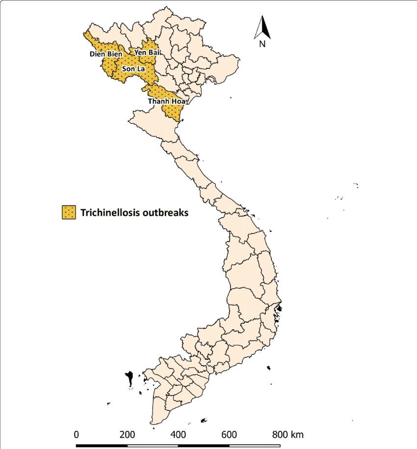 Map Of Trichinellosis Outbreaks In Vietnam - Map (850x914), Png Download