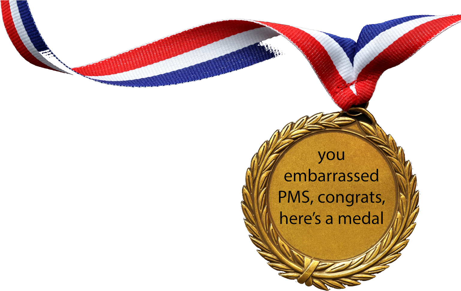 "this Conversation Is Over - Go Fuck Yourself Medal (1600x1066), Png Download