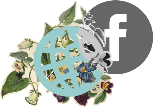 Mark Zuckerberg, The Ceo Of Facebook, Has Said That - Facebook (594x365), Png Download