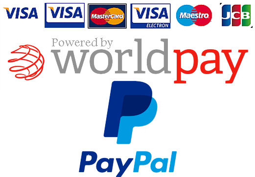 Payment Methods - World Pay (520x397), Png Download