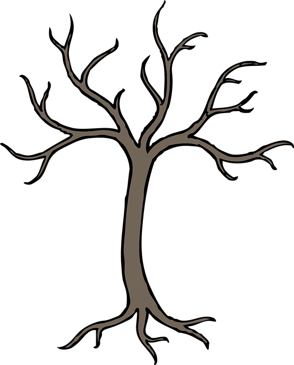 Craft - Dead Tree Png Clipart (580x720), Png Download