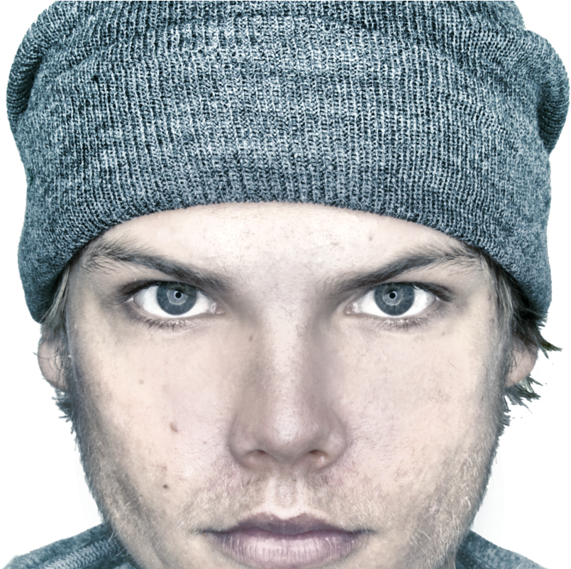 Wake Me Up Avicii Meme (1600x800), Png Download