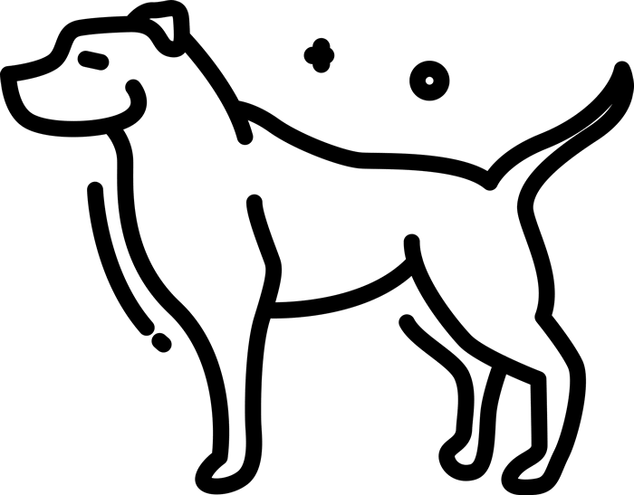 Pitbull Rubber Stamp - Rubber Stamping (700x547), Png Download