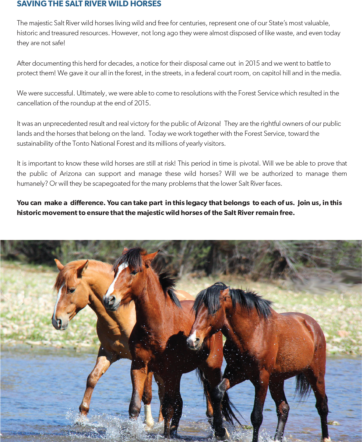 Srwhmg Wild Night Final - Horse (1200x1478), Png Download
