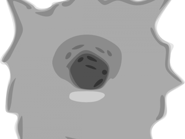 Gunshot Clipart Hole - Bullet Hole Clip Art (640x480), Png Download
