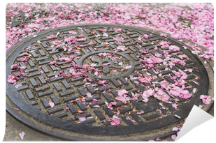 Falling Cherry Blossom Petals On The Sewer Lid - Cherry Blossom (400x400), Png Download