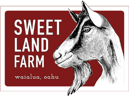 Get Ready For The Creamiest Goat Cheese Recipes You'll - Sweet Land Farm (489x348), Png Download