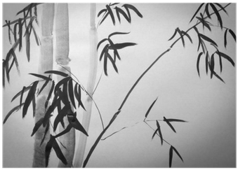 Bamboo Photography (400x400), Png Download