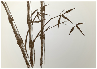 Drawing Of Bamboo (400x400), Png Download
