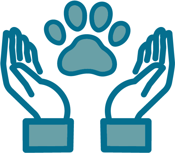 Quality Veterinary Medicine (625x625), Png Download