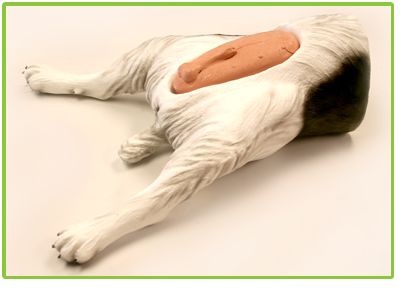 28 Collection Of Virtual Mannequin For Drawing - Draw A Male Mannequin (425x300), Png Download