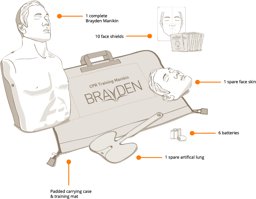 Standard Brayden Kit Contents - Plastic (903x693), Png Download