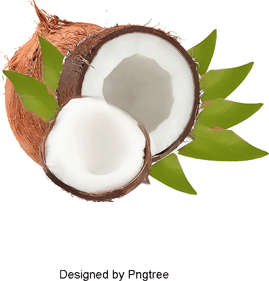 Authentic Coconut, Coconut Clipart, Brown, Cream Png - Lychee (800x800), Png Download