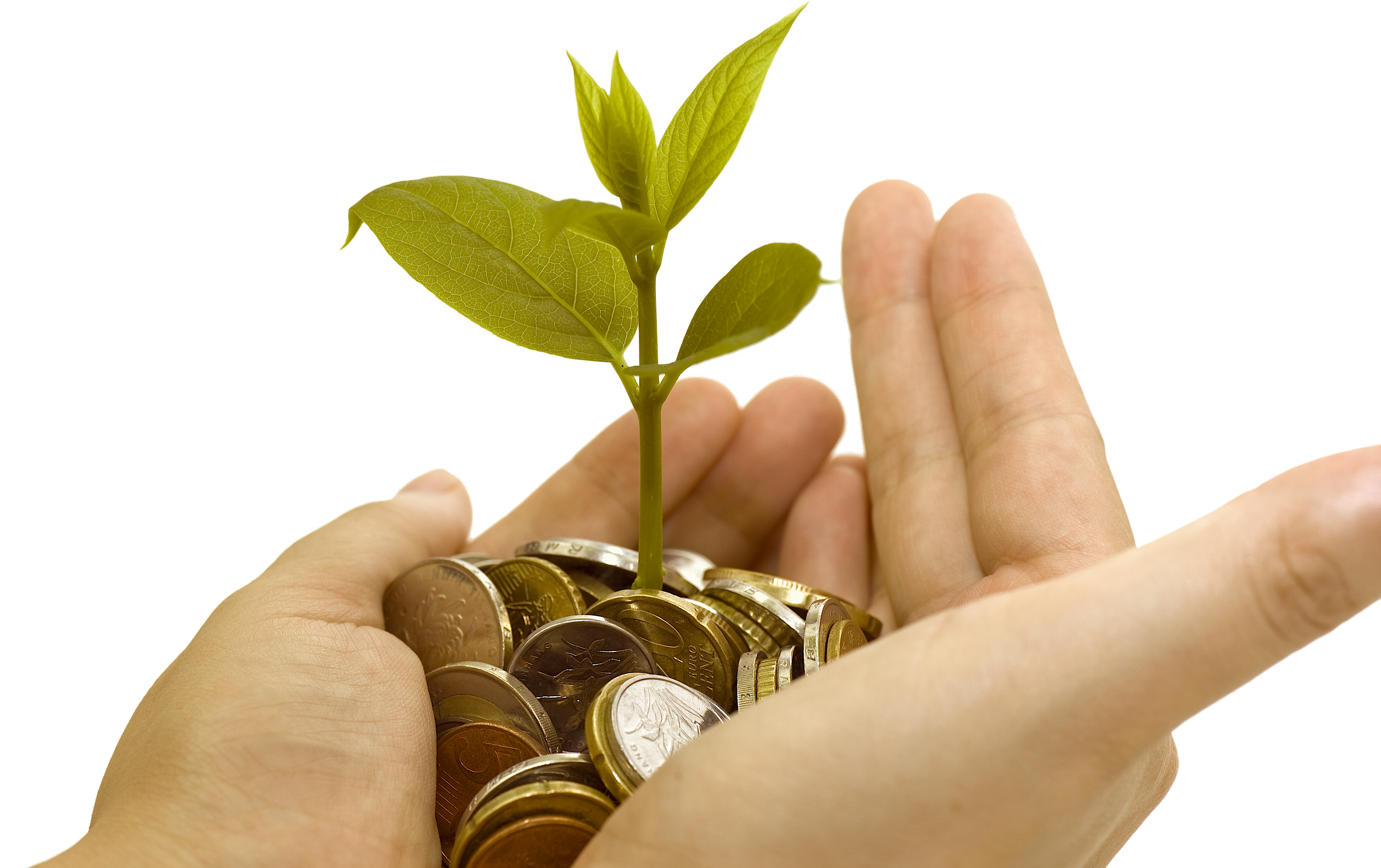 Toggle Navigation - Grow Coin (3464x2309), Png Download