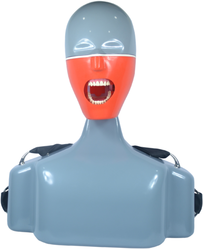 Navadha Itorso Dental Chair Mount Manikin Phantomhead, - Simuladores De Odontologia (405x500), Png Download