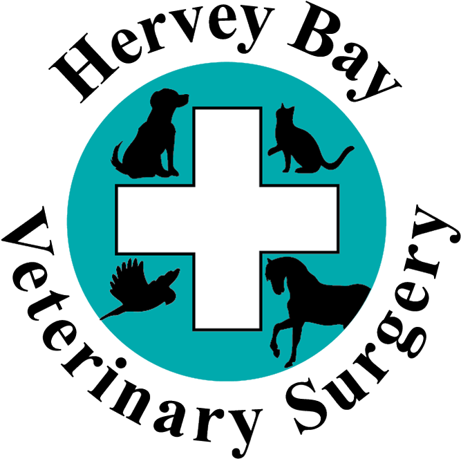 Hervey Bay Vet (750x750), Png Download