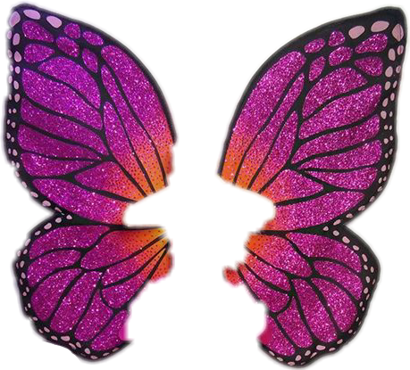 Barbie Butterfly Asas Flower Tumblr Amor Use Voar Pas - Picsart Photo Studio (459x415), Png Download