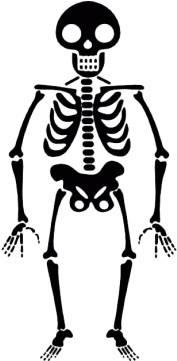 Halloween Skeleton - Skeleton Transparent (360x360), Png Download