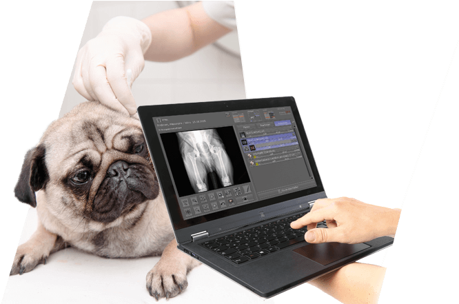 Kabellos/slider Digitales Nachruest - Portable Network Graphics (1280x440), Png Download