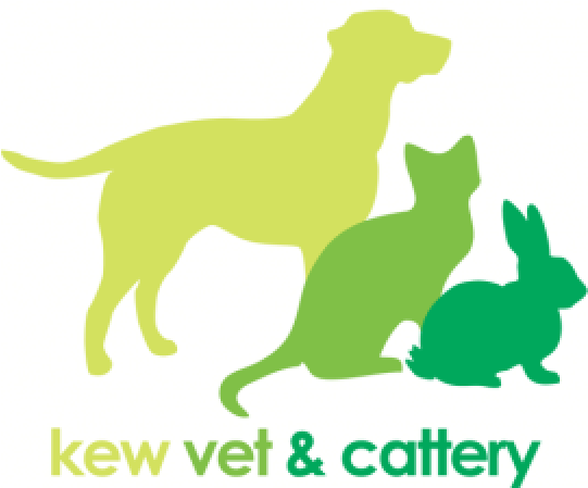 Veterinary Physician (540x458), Png Download