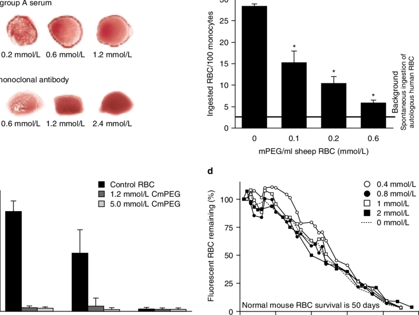 Previous Studies Of Methoxypoly [mpeg]-modified Red - Ethylene Glycol Red Blood Cell (850x640), Png Download