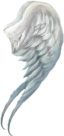 Angel Wings Png - Little Angel Wall Calendar (268x474), Png Download