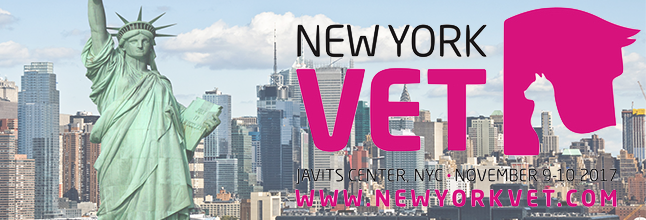 Ny Vet - Statue Of Liberty (646x220), Png Download