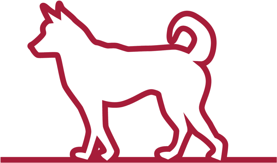 New Puppy Or Kitten - Dog Outline (1024x1024), Png Download