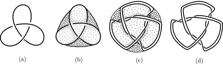I Am Studying Lamination Knots And Links - Line Art (750x215), Png Download