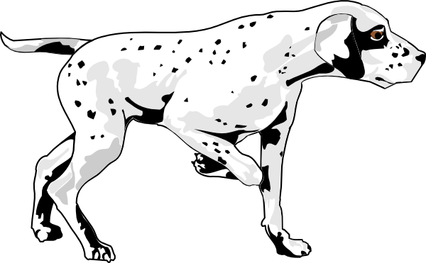 Small - Management Of Cardiac Disease In Dogs (600x371), Png Download