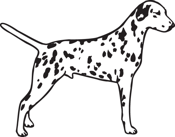 Dalmatian Clip Art (600x471), Png Download