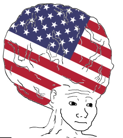 1494054870257 - Usa Flag (408x458), Png Download
