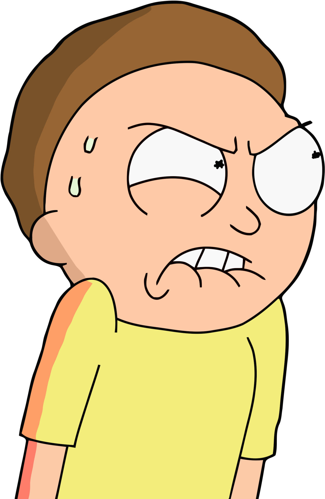 Morty Smith - Jerry Memes Rick And Morty (1259x1920), Png Download