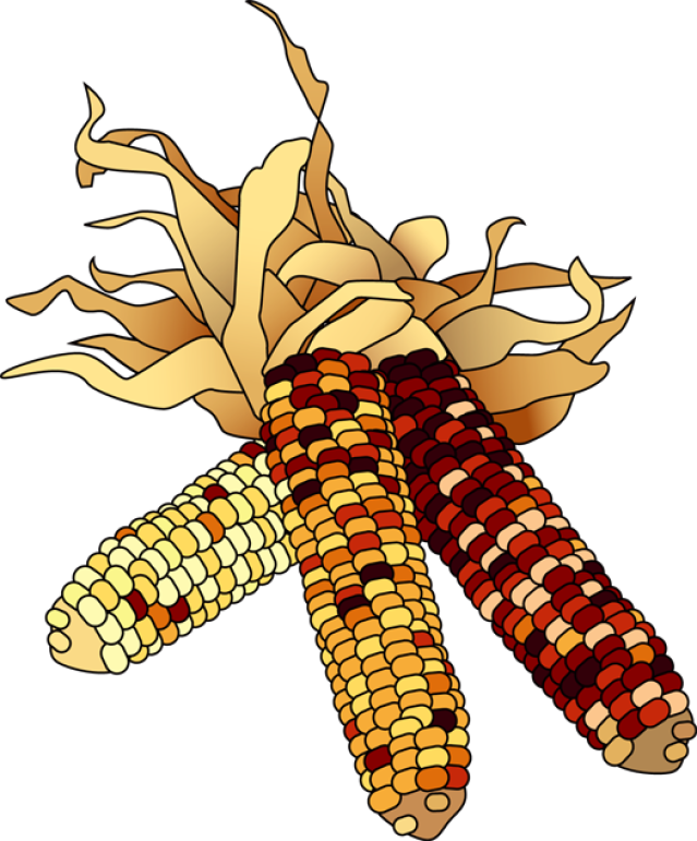 Free Indian Thanksgiving Cliparts, Download Free Clip - Indian Corn Clip Art (639x771), Png Download