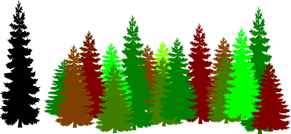 Pine Clipart Forest Tree - Pine Tree Silhouette Png (600x277), Png Download