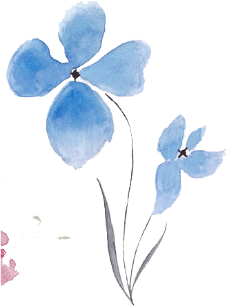 Free Abstract Watercolor Flowers Vector - Water Color Flowers Vector (341x466), Png Download