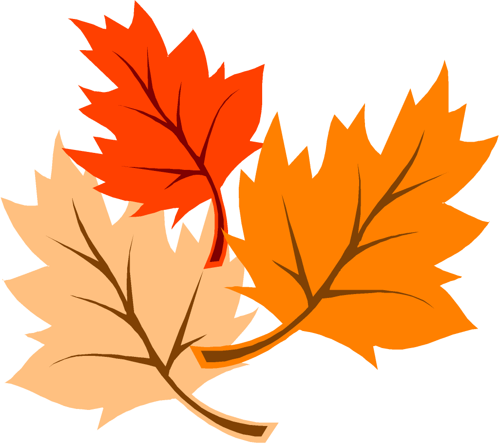 Thanksgiving Leaves - Thanksgiving Clipart (1024x912), Png Download